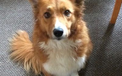 Im Sandi and I live here 